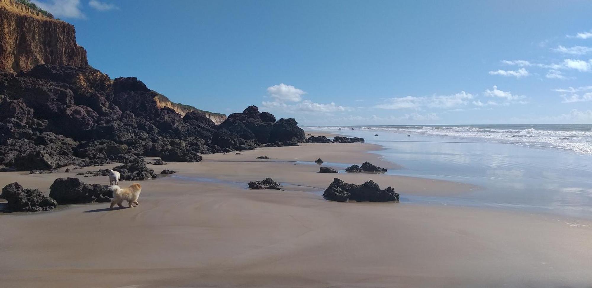 Casa Na Praia Com Piscina Costa Dourada Номер фото